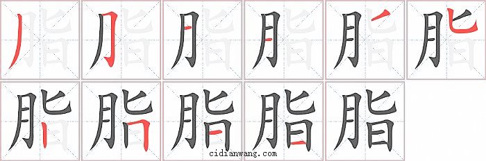 脂字笔顺分步演示图