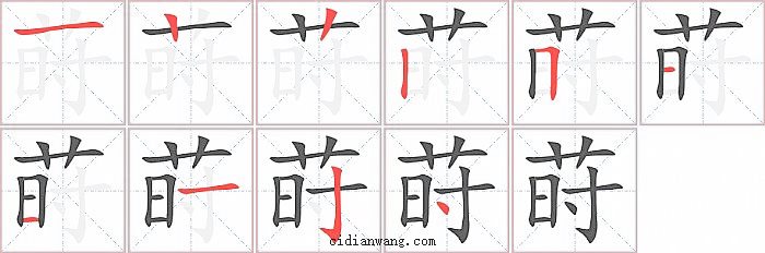 莳字笔顺分步演示图