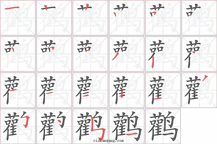 鹳字笔顺分步演示图