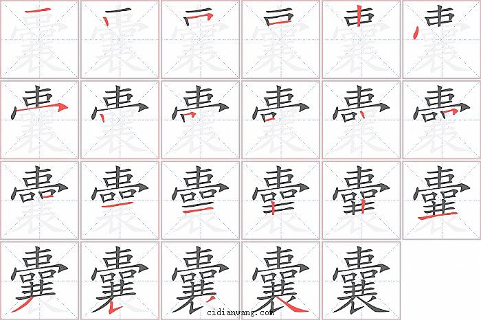 囊字笔顺分步演示图