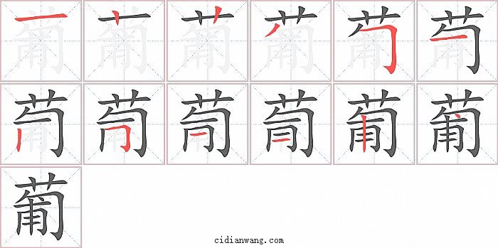 葡字笔顺分步演示图
