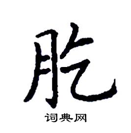 肐怎么写好看