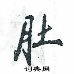 肚怎么写好看