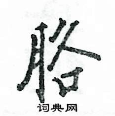 胳怎么写好看