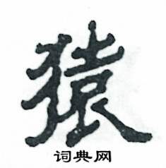 猿怎么写好看