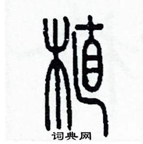 植怎么写好看
