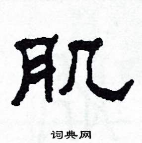肌怎么写好看