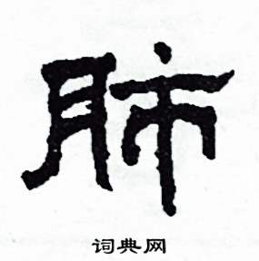 肺怎么写好看