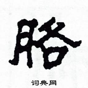 胳怎么写好看