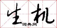 生机怎么写好看