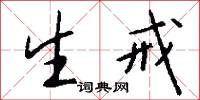 生戒怎么写好看