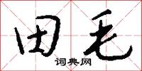 田毛怎么写好看