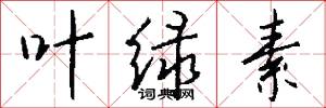 叶绿素怎么写好看