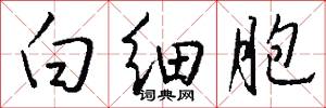 白细胞怎么写好看
