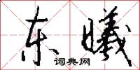 东曦怎么写好看
