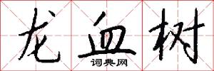 龙血树怎么写好看