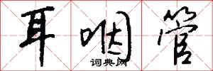 耳咽管怎么写好看