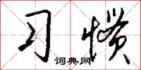 习惯怎么写好看