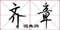 齐章怎么写好看