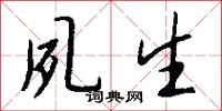 夙生怎么写好看