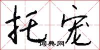 托宠怎么写好看
