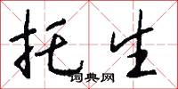 托生怎么写好看