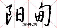 阳甸怎么写好看