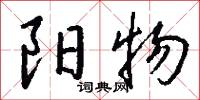 阳物怎么写好看