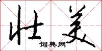壮美怎么写好看
