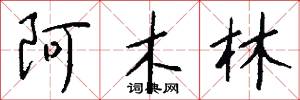 阿木林怎么写好看