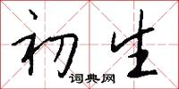初生怎么写好看