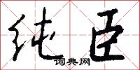 纯臣怎么写好看