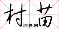 村苗怎么写好看