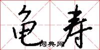 龟寿怎么写好看