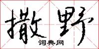 撒野怎么写好看