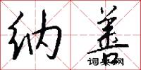 纳善怎么写好看