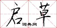 启草怎么写好看
