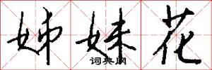 姊妹花怎么写好看