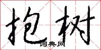 抱树怎么写好看