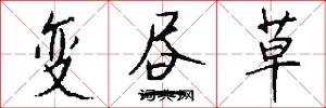 变昼草怎么写好看