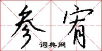 参宥怎么写好看