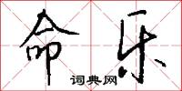 命乐怎么写好看