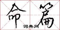 命篇怎么写好看