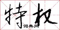 特权怎么写好看