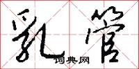乳管怎么写好看