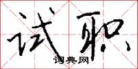 试职怎么写好看