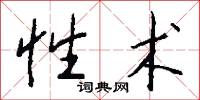 性术怎么写好看