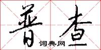 普查怎么写好看