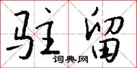 驻留怎么写好看