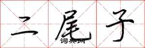 二尾子怎么写好看